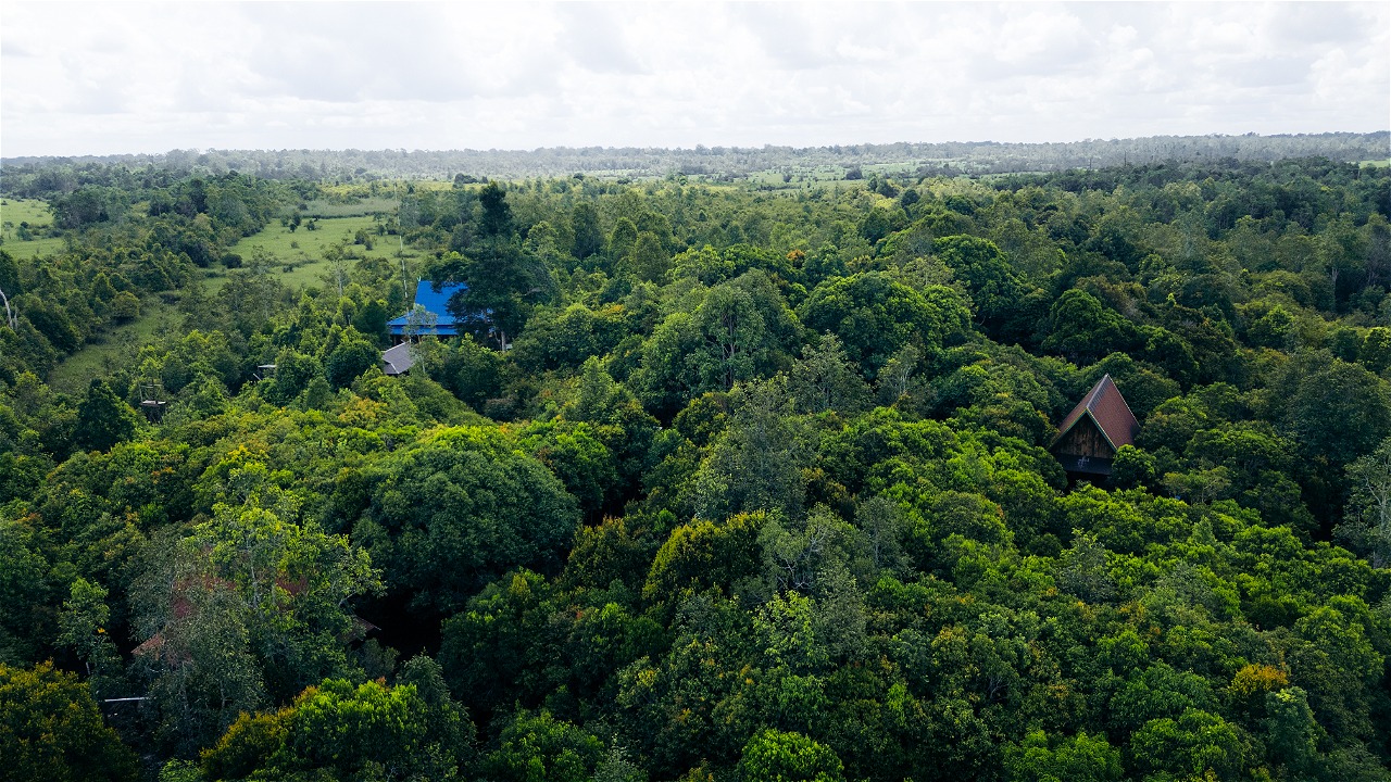 © WWF-Indonesia / Julian Hahne