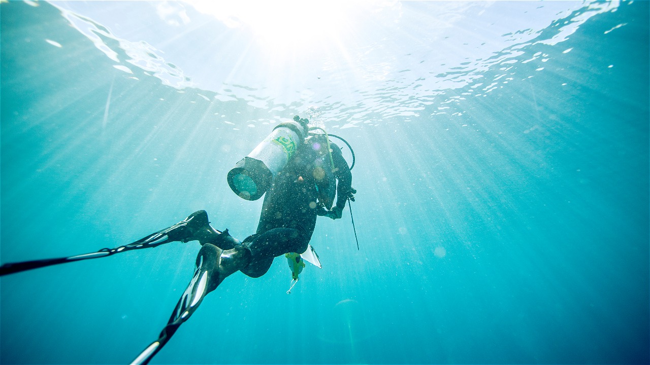 THIS IS HOW IT FEELS, DIVING IN TO WORK