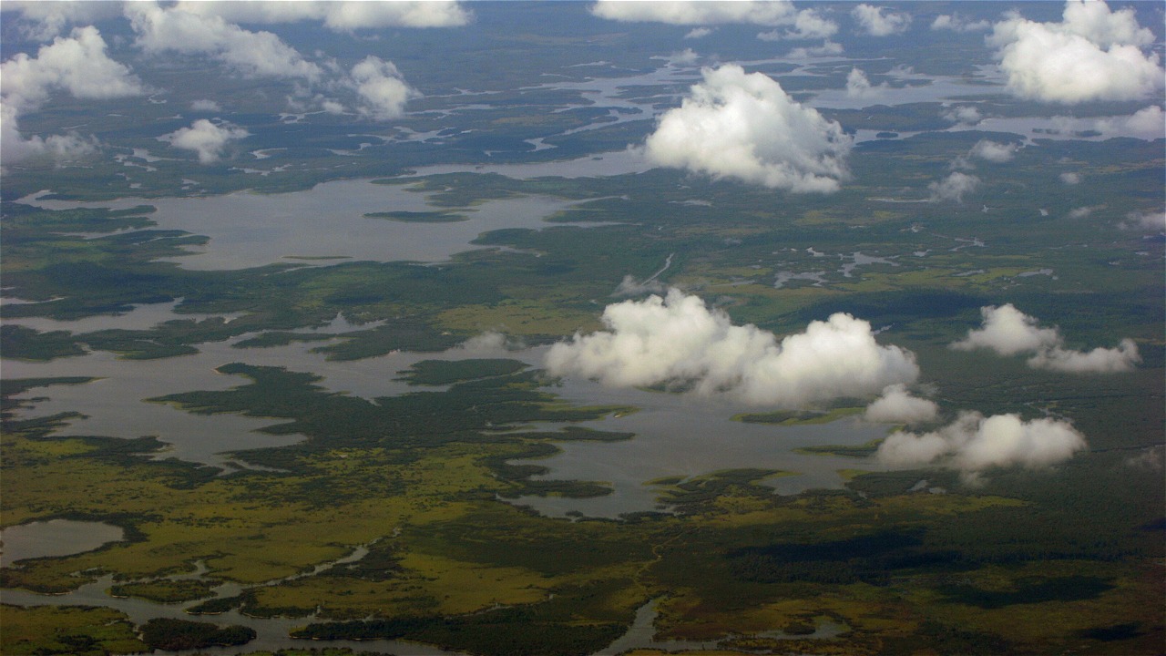 WWF-Indonesia / Syahirsyah