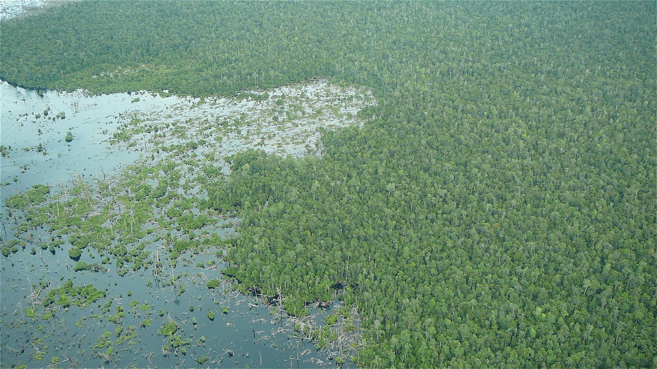 WWF-Indonesia / M Rosidi