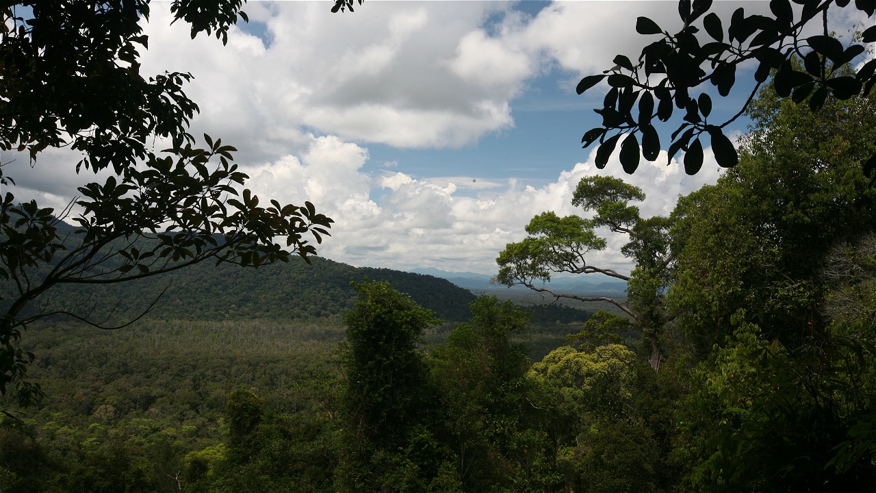 WWF-Indonesia / Jimmy Syahirsyah