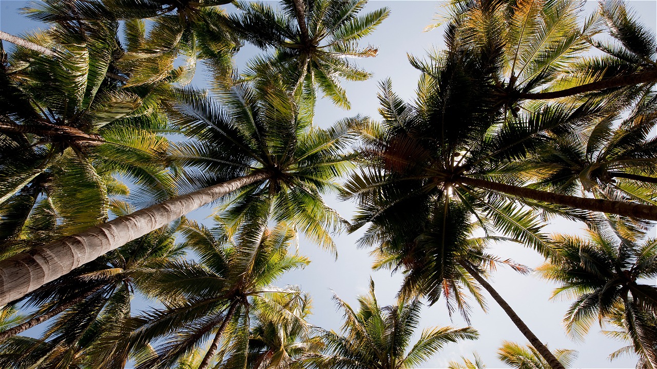 © Jürgen Freund / WWF