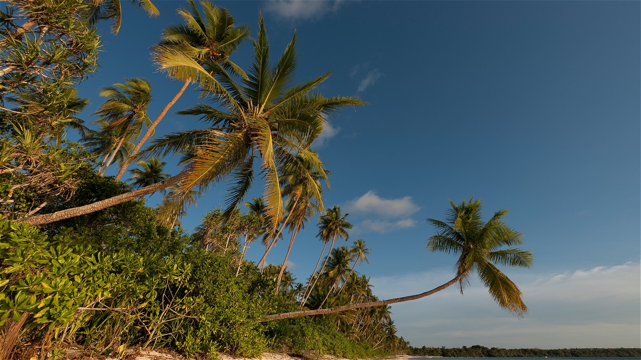 © Jürgen Freund / WWF