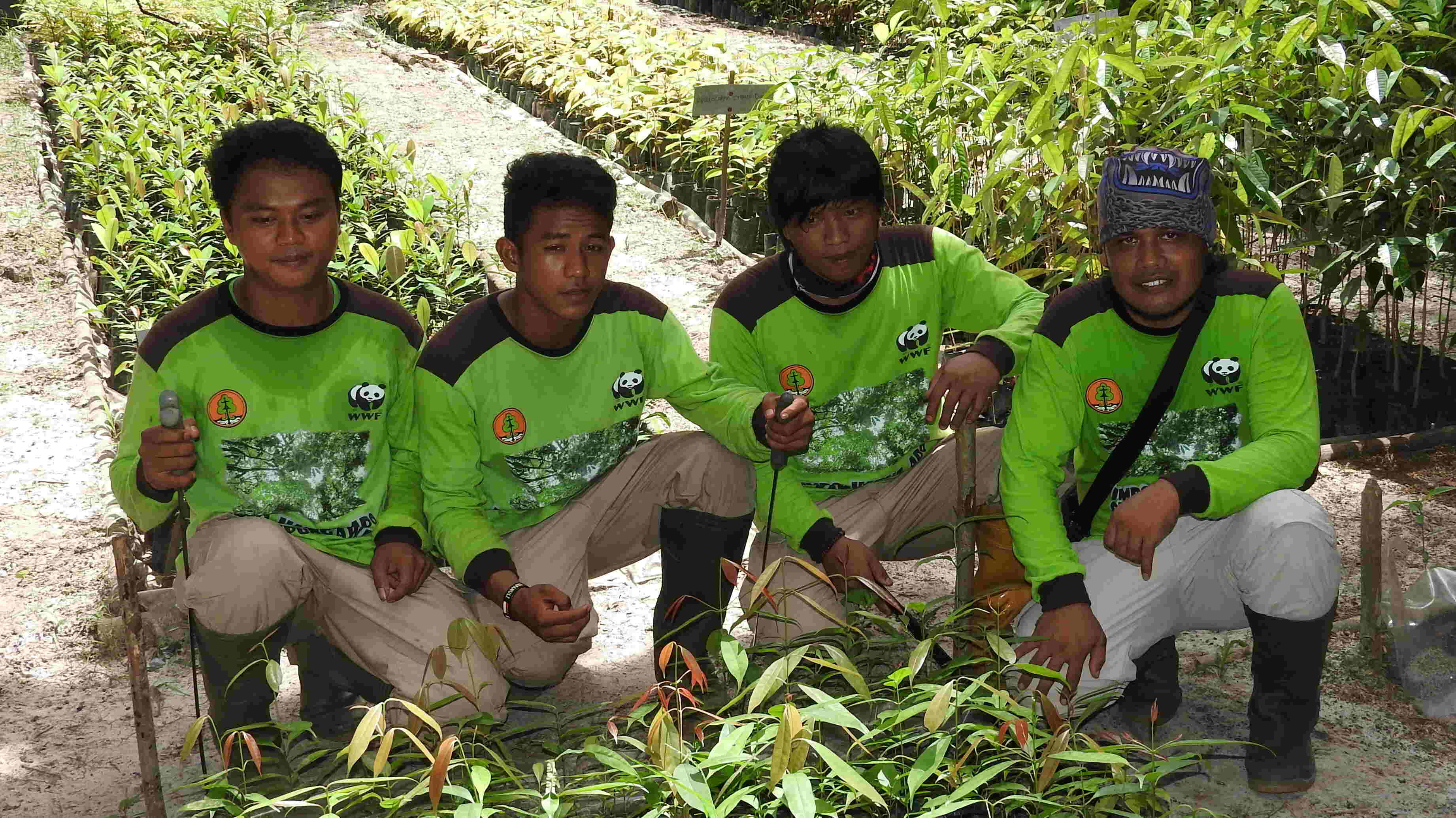 SELAMATKAN HABITAT GAJAH