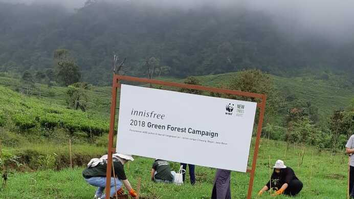 INNISFREE 6000 POHON