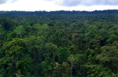 WWF-Indonesia dan KLHK
