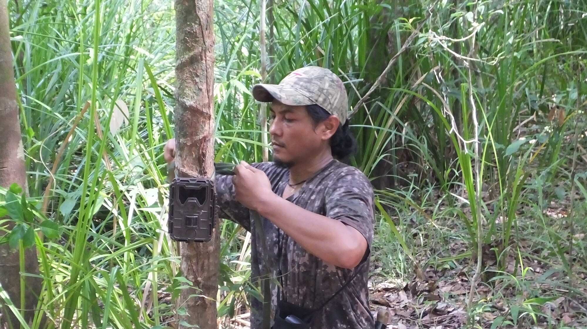 TRAP CAMERA