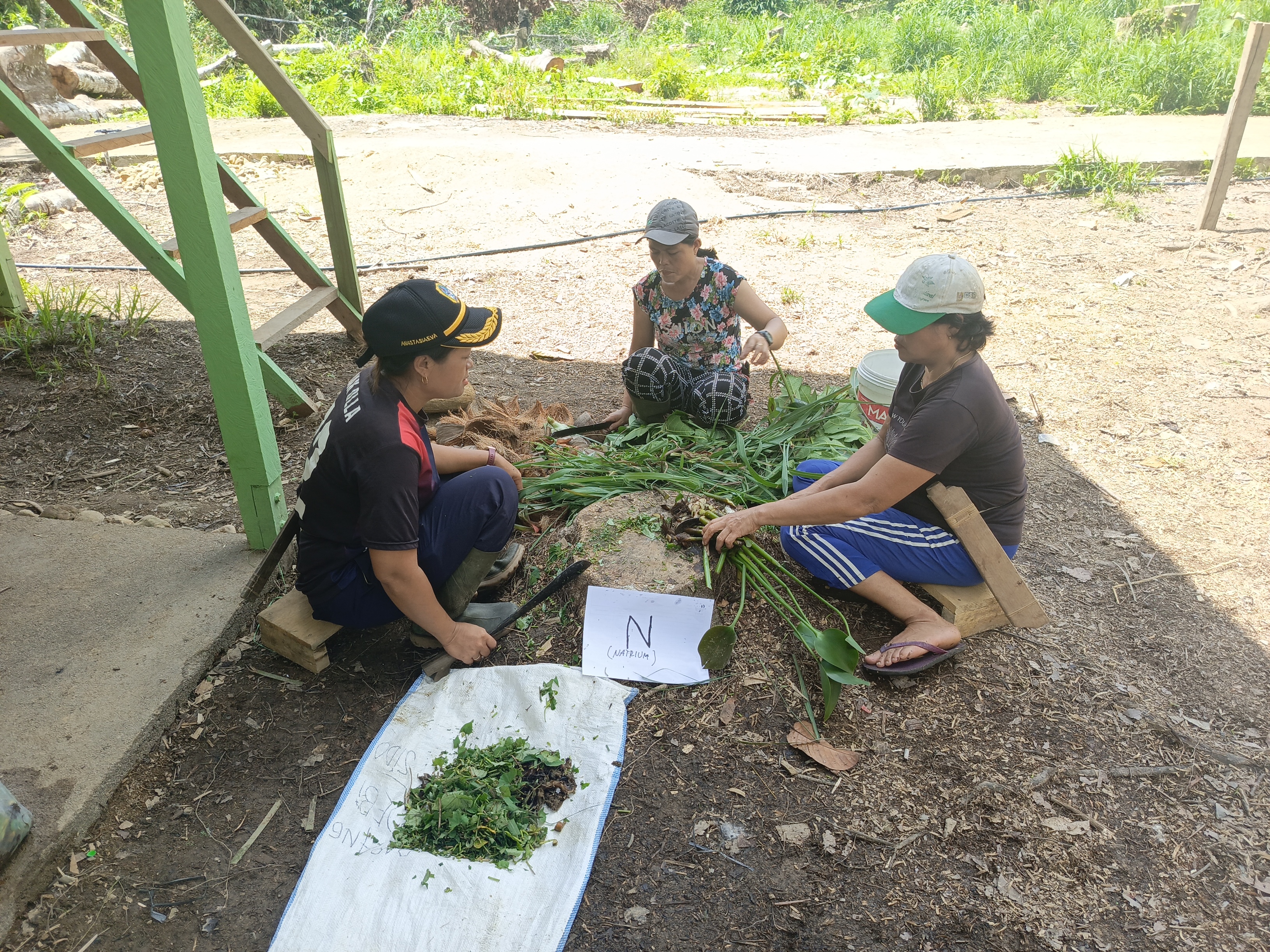 Foto 10. Anggota KTH Penyuguk Lestari sedang mengolah sampah organik sebagai bagian dari proses pembuatan pupuk organik. (Foto oleh WWF Indonesia)