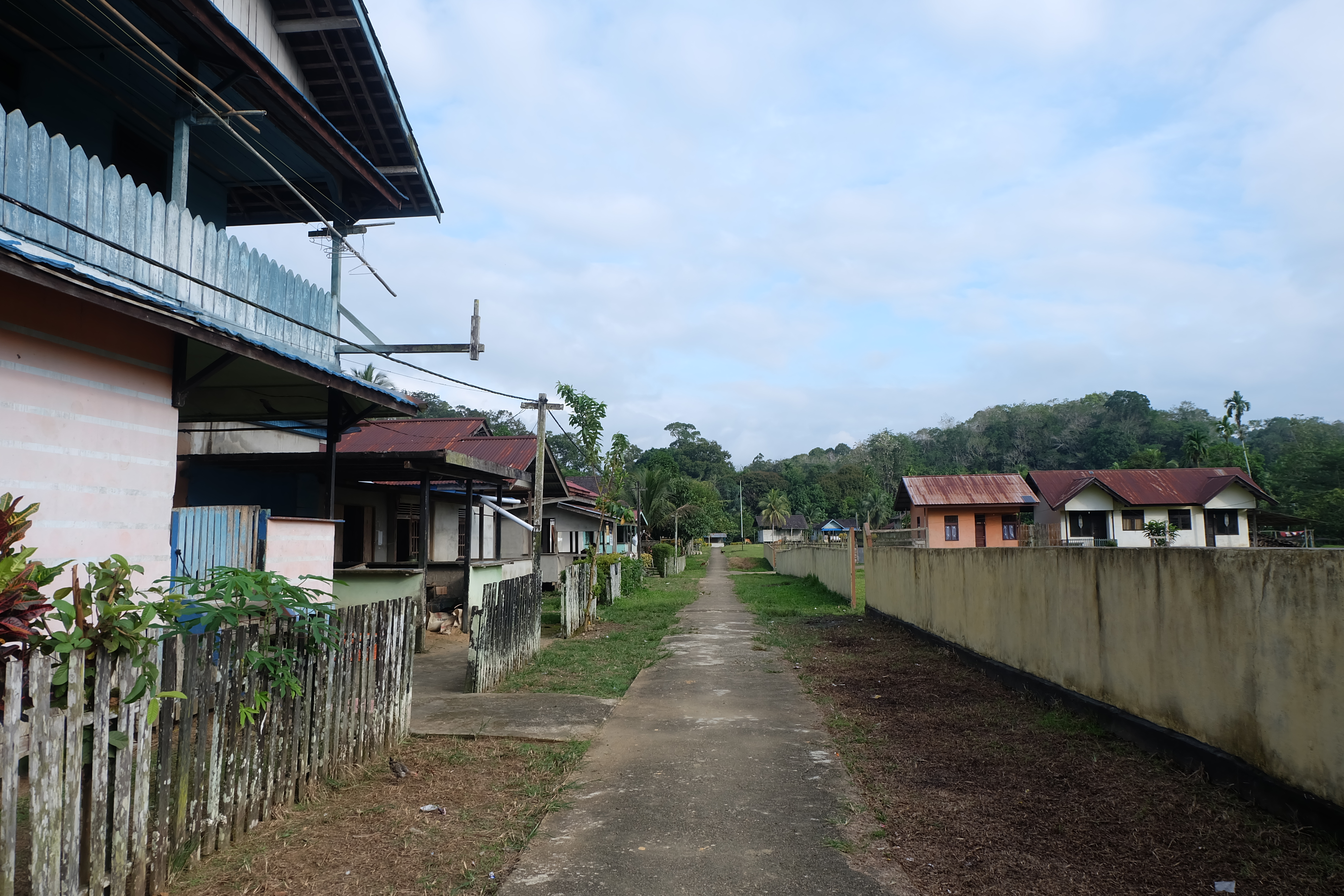 Foto 11. Panorama Desa Penyuguk, Kabupaten Melawi, Kalimantan Barat. (Foto oleh WWF Indonesia/Munaweroh)/Desa Penyuguk dari ketinggian. Foto oleh WWF Indonesia/Panda CLICK!/ Hilarius Nikodemus Juan)