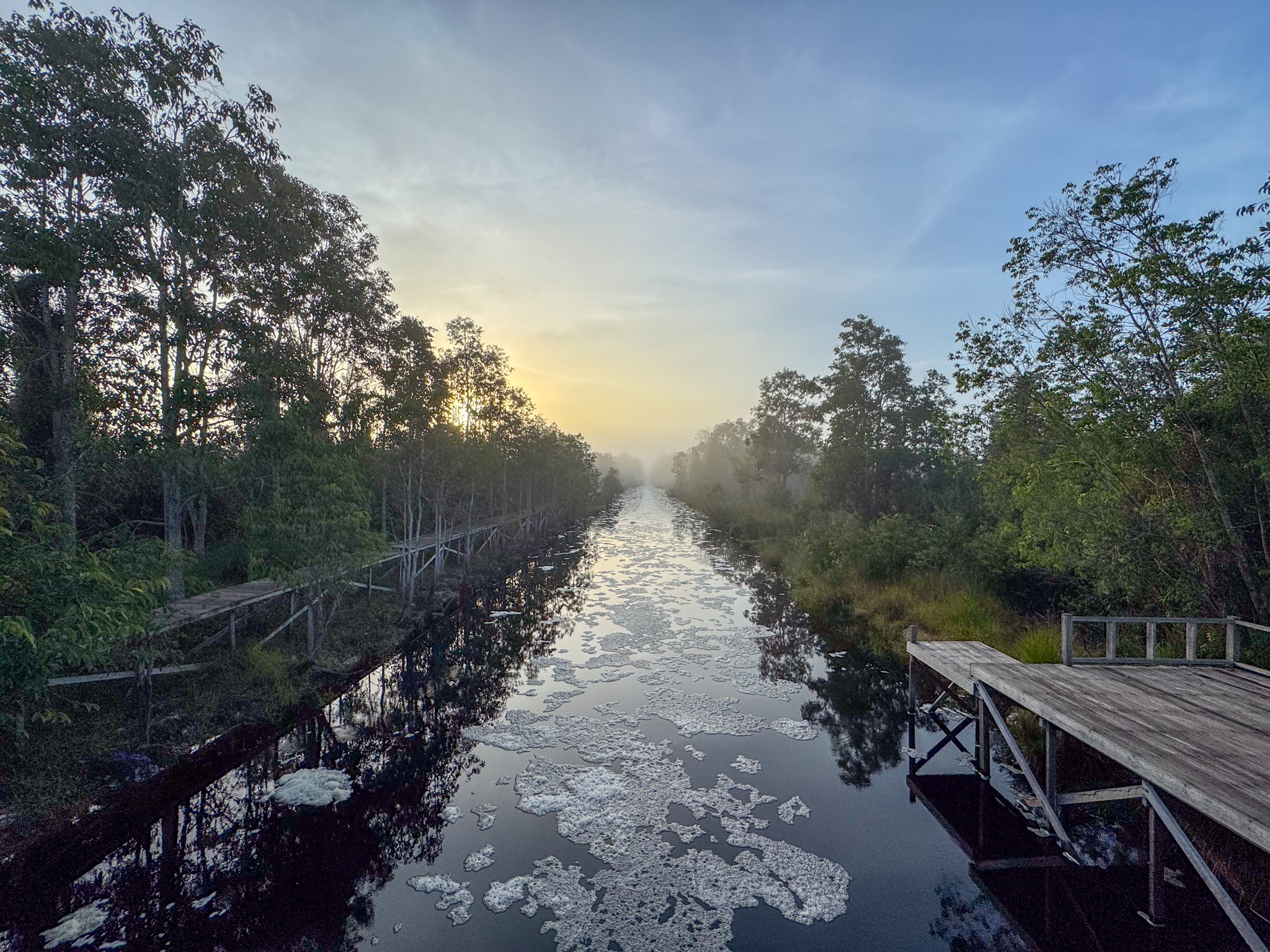Photo 2. Dawn in the SSI area, Camp Mangkok, Sebangau National Park.