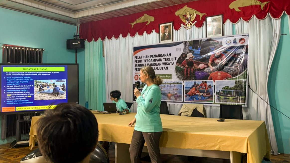 Foto 2. Pelatih dari Yayasan Konservasi RASI, Danielle Krebs, menyajikan salah satu bagian dari kesiapsiagaan dalam menangani situasi darurat pesut Mahakam. (Foto oleh: Roni Irfan/Kampung Minta)