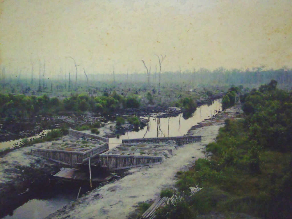 Photo 5. Construction of a canal barrier or dam in the SSI area in 2005, supported by WWF Netherlands.