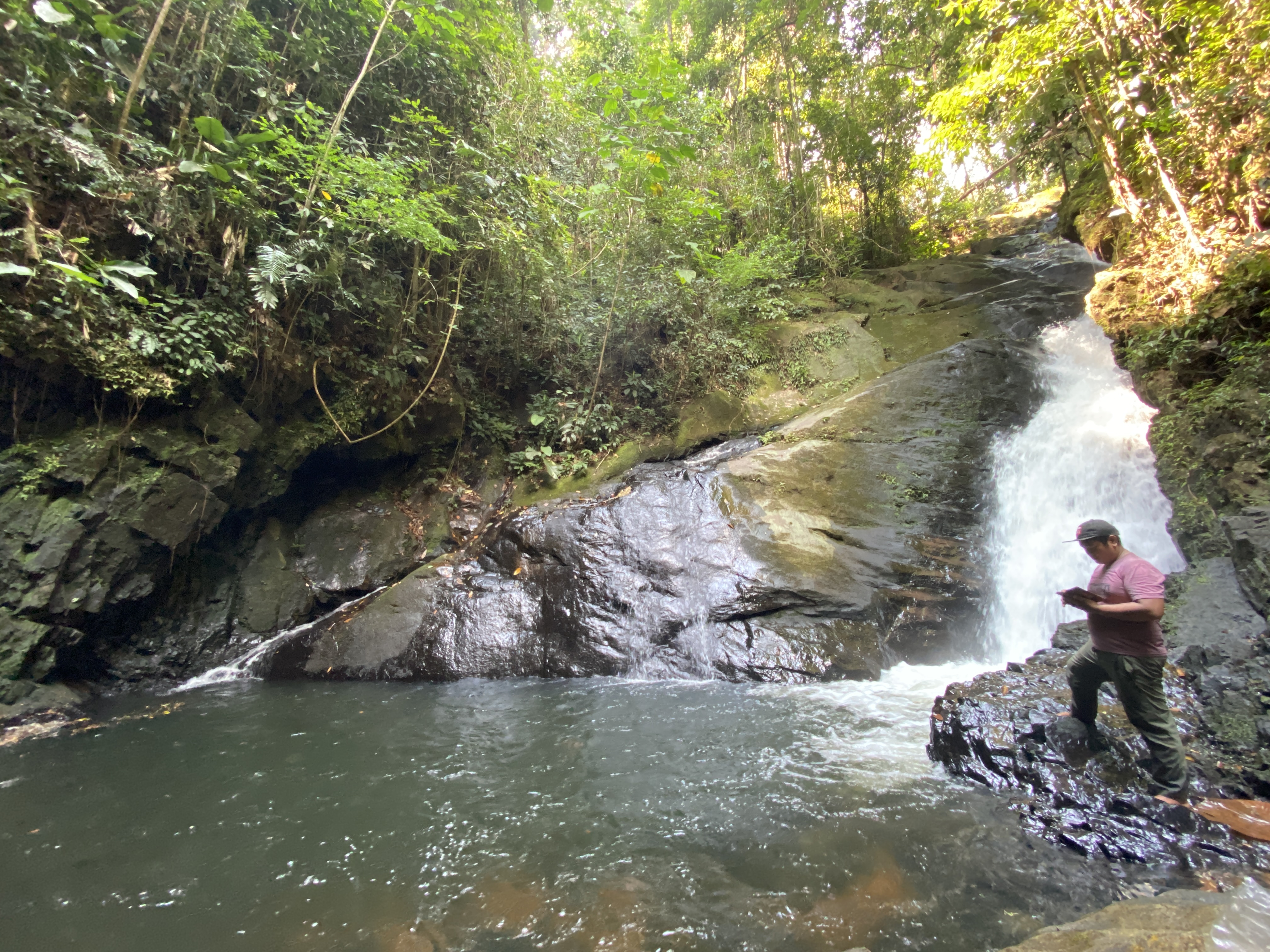 Foto 7. Sudarto mengabadikan kunjungannya ke Air Terjun Gunung Berasap, jauh di dalam hutan Kayu Bunga. (Foto oleh WWF Indonesia/Sebastianus Egi M)