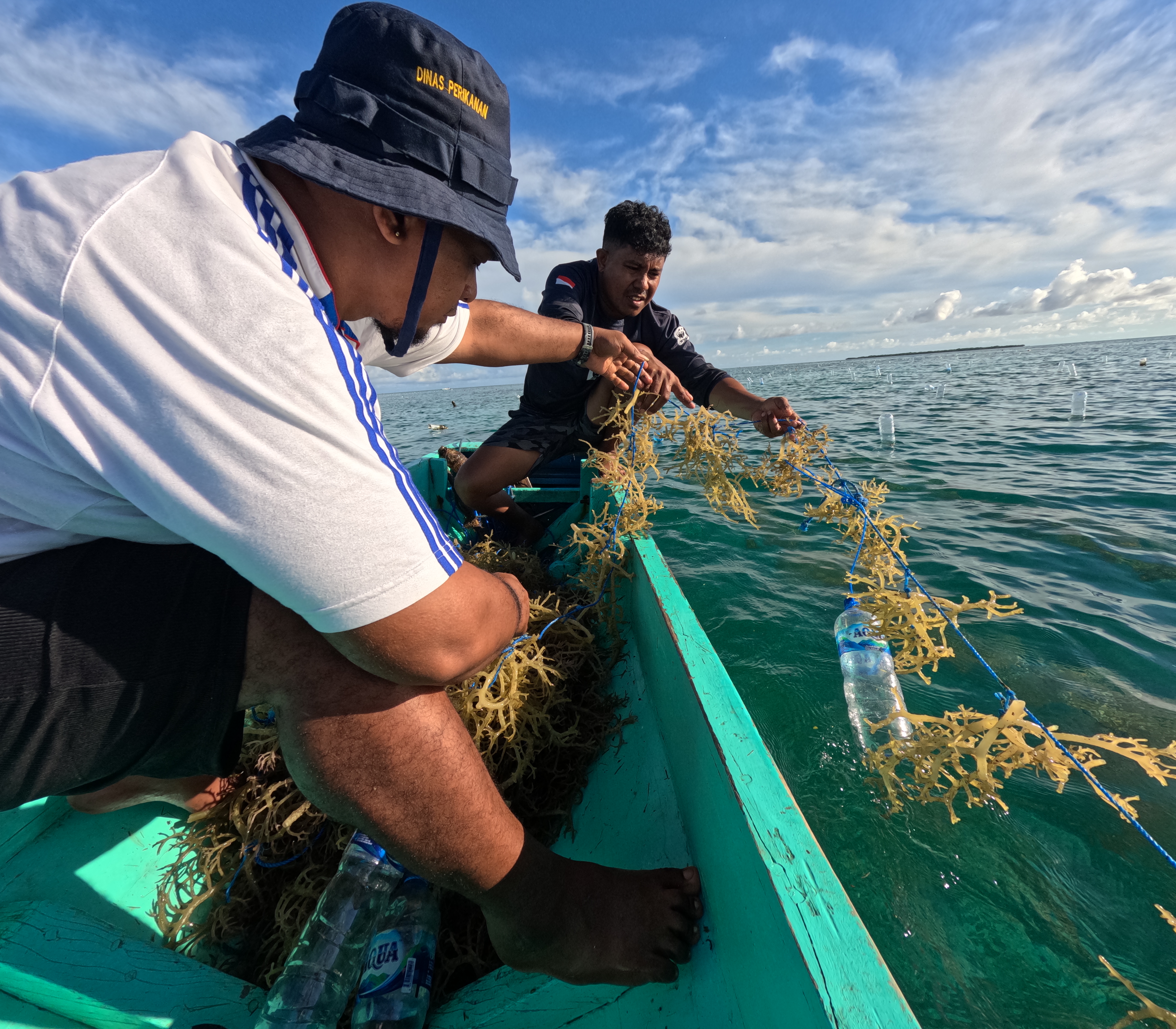 Sesi praktik dengan pencampuran bahan untuk rendaman rumput laut (kiri) dan penanaman rumput laut (kanan) Photo: ©WWF-Indonesia/ Annisa S. Aulia