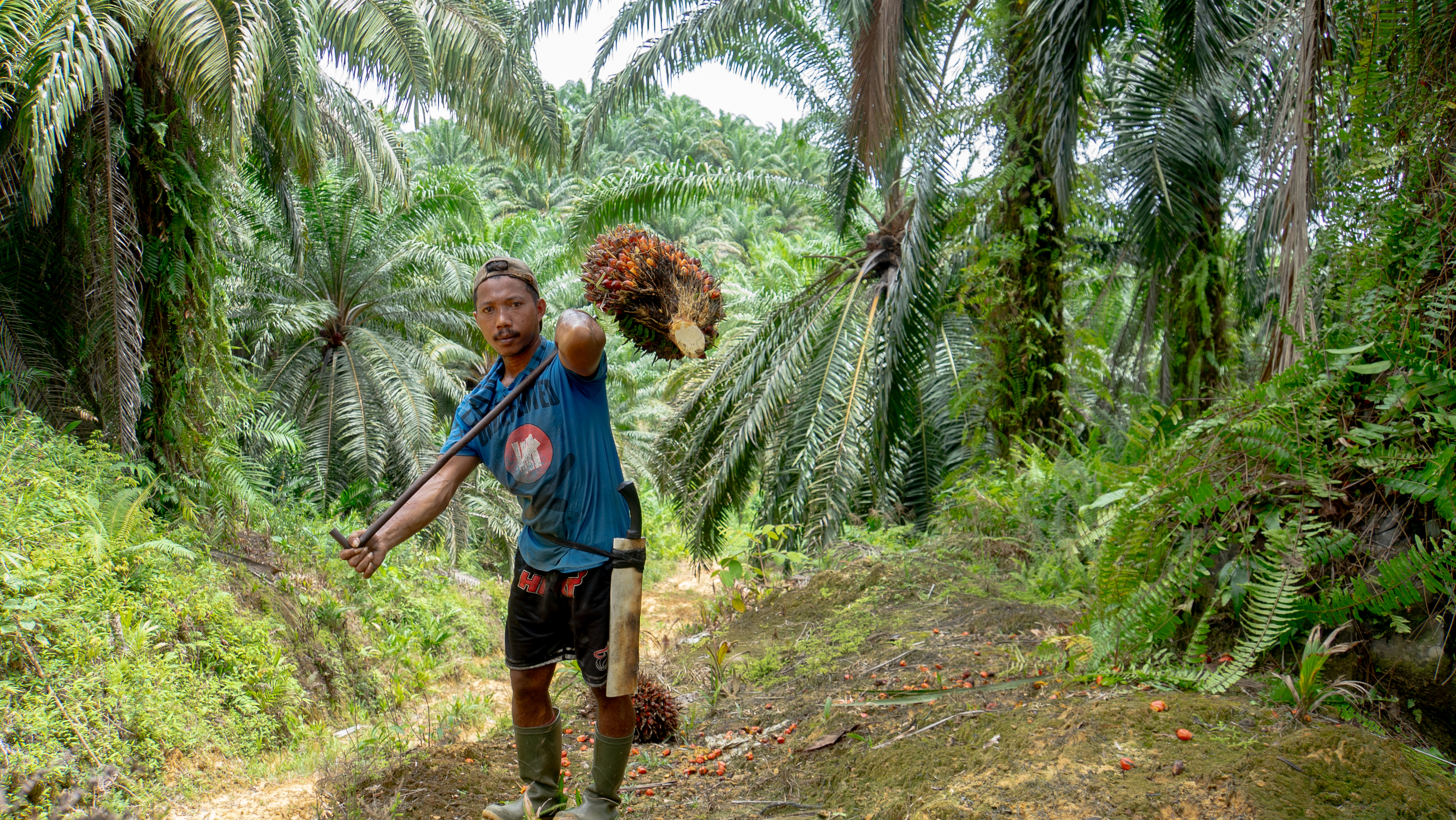 Sustainable Commodities