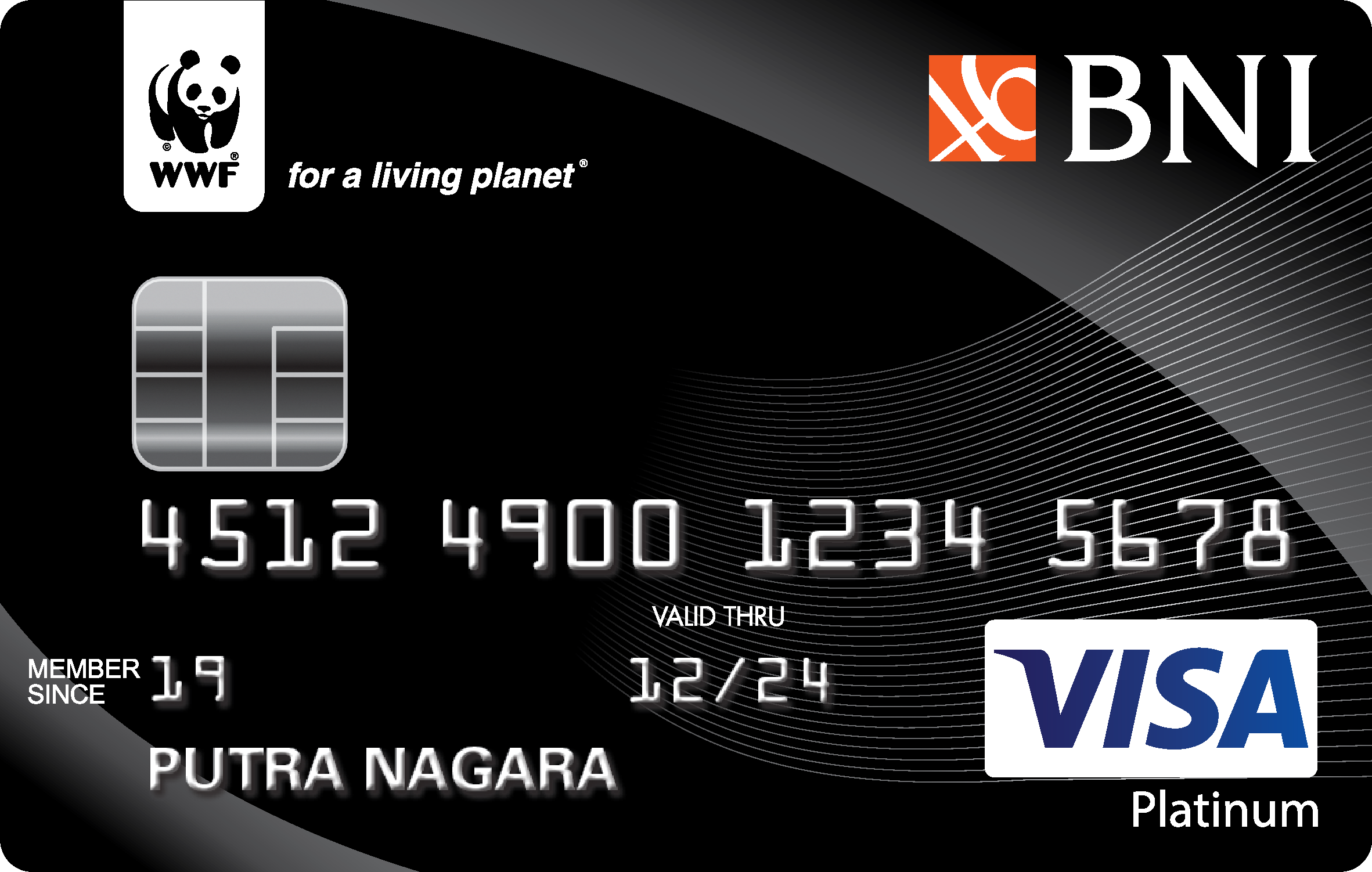 Visa Card