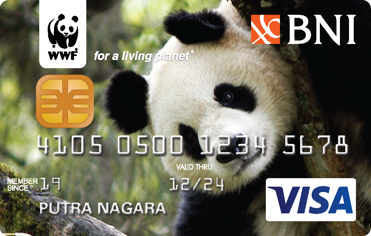 Visa Card