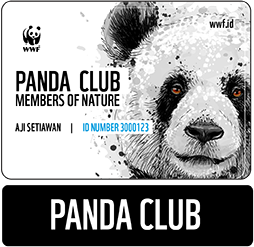 panda club