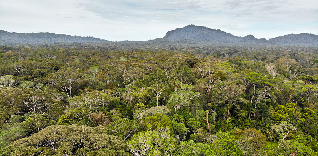 Sumatera