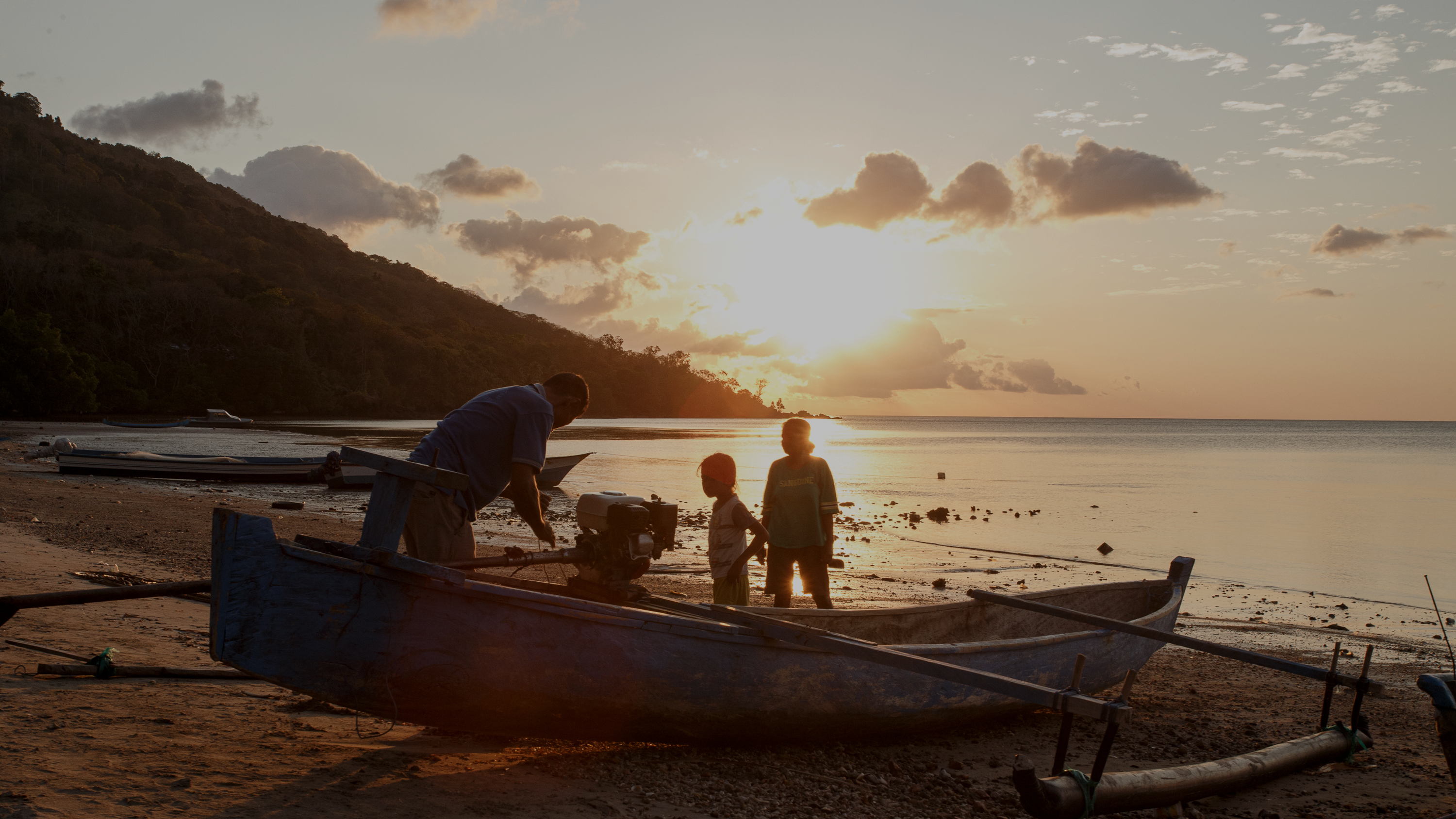 © WWF-Indonesia / Des Syafrizal