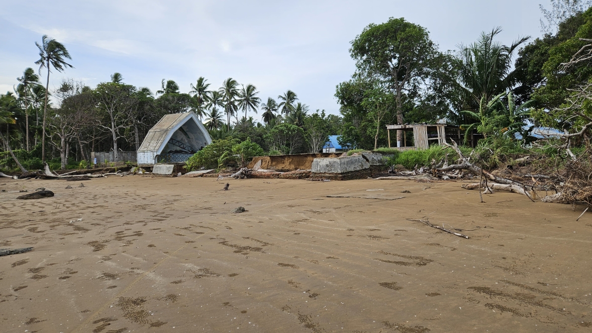 Pesisir pantai 