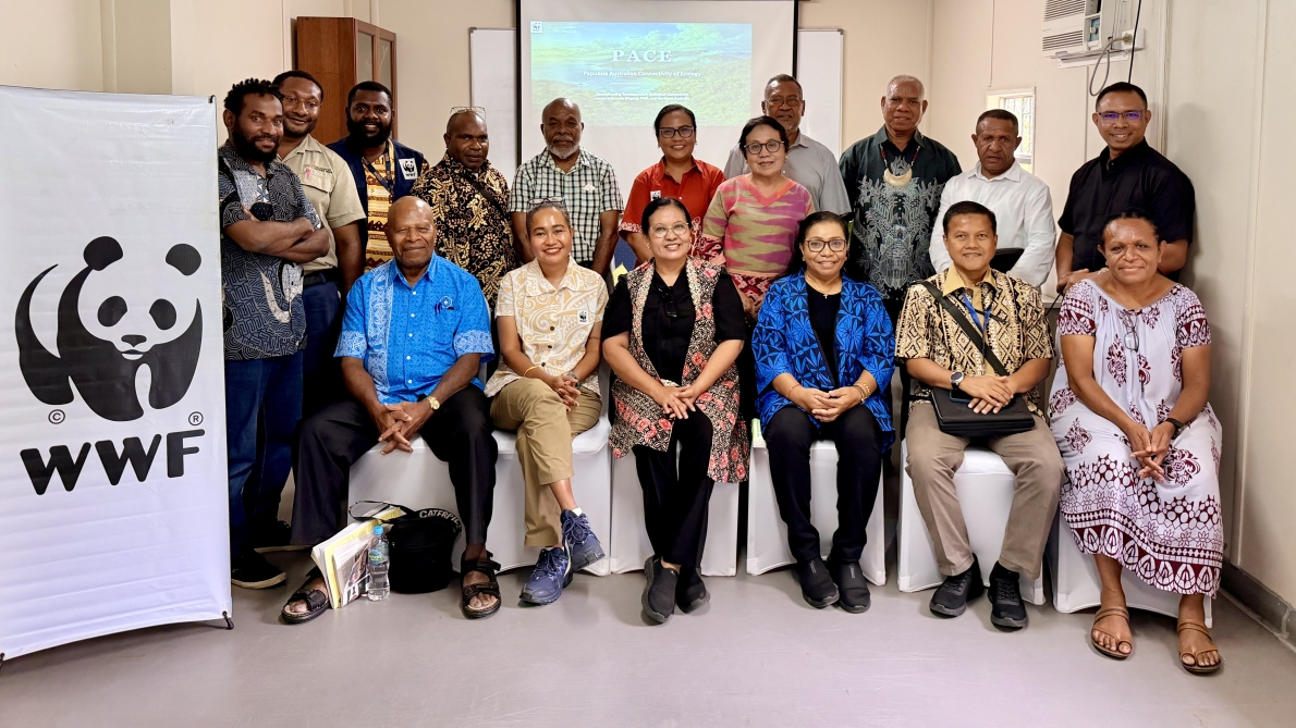 Cross-sector participants from Indonesia and Papua New Guinea agreed to strengthen research collaboration and Pacific nature conservation at the Papuasia-Australia Connectivity of Ecology (PACE) meeting at the Nature Park Port Moresby, Friday (15/5/2026).