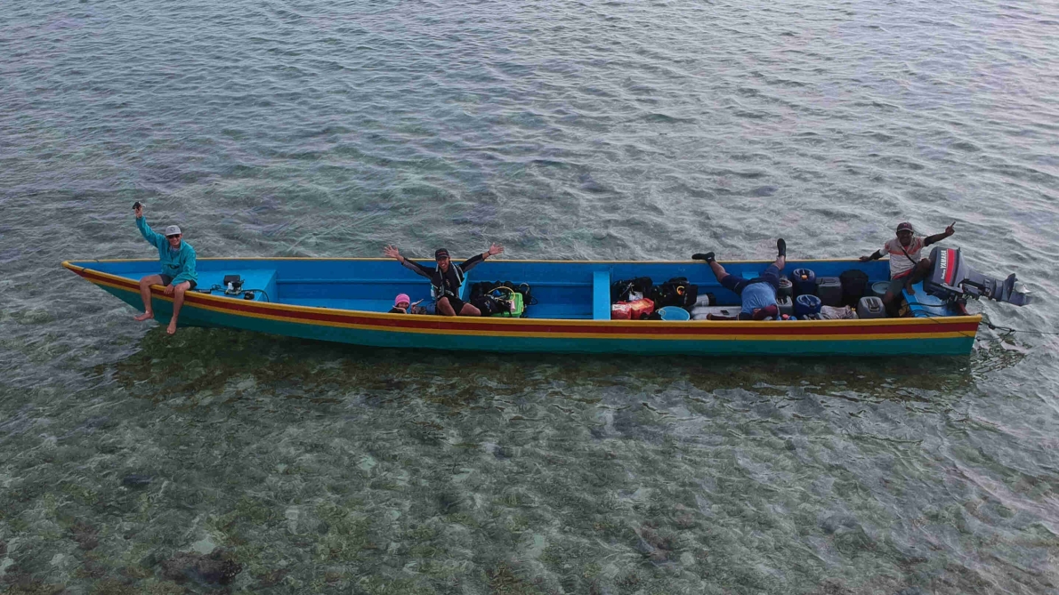 OCEAN CONSERVATION