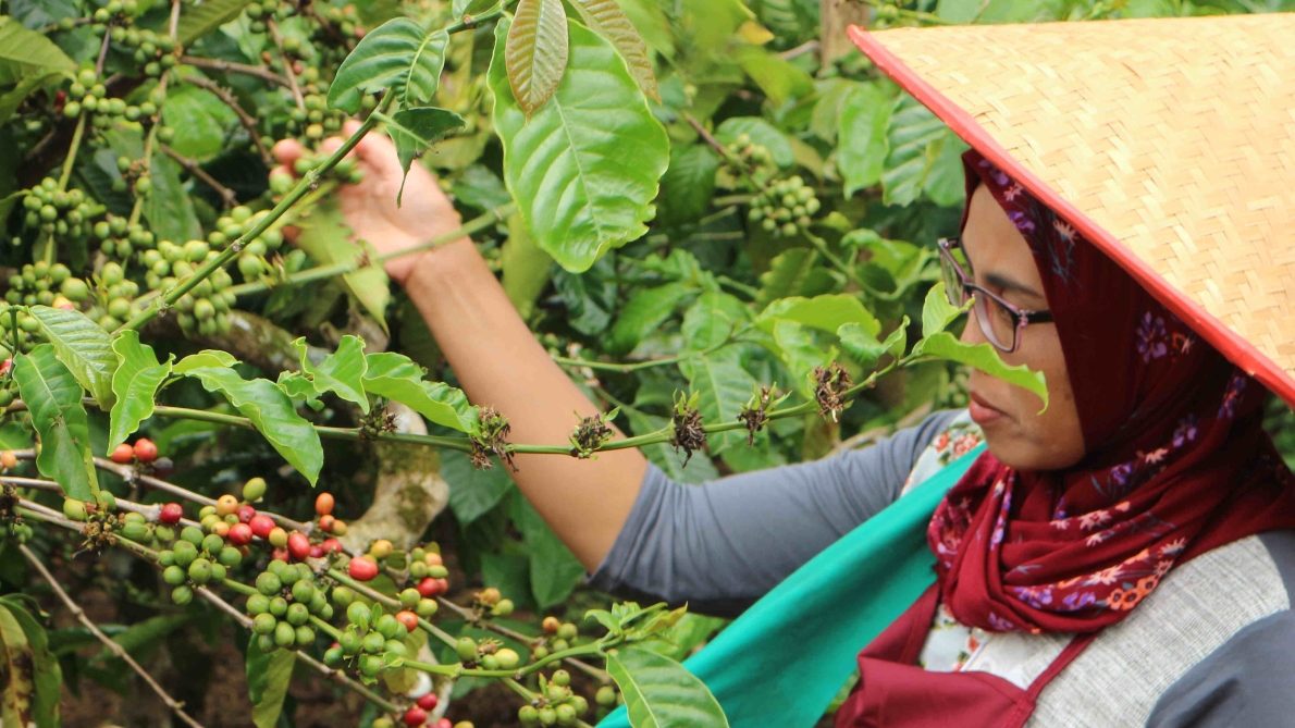 WOMEN NURSES OF NATURE