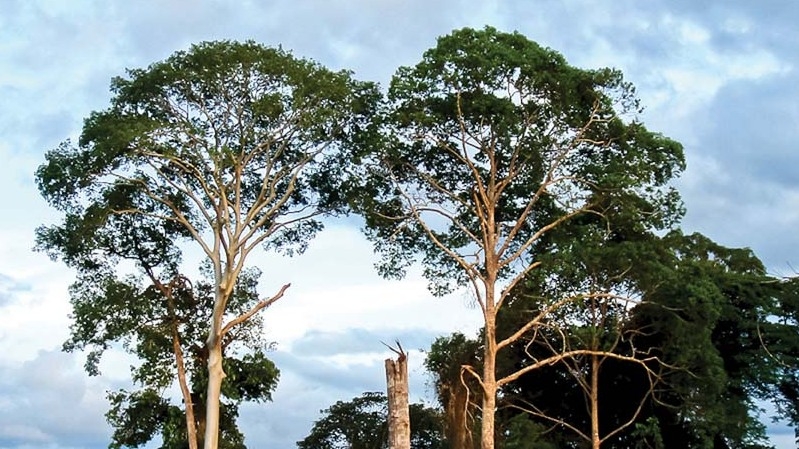 ENVIRONMENT