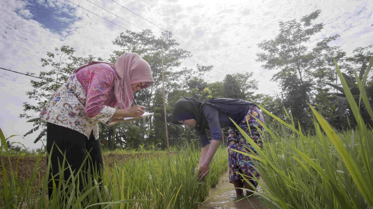 PENINGKATAN KAPASITAS MASYARAKAT TAMAN NASIONAL UJUNG KULON