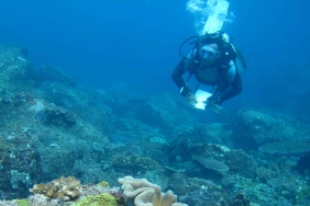 SEA MENARBU