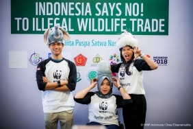 Indonesia Says No! to Illegal Wildlife Trade