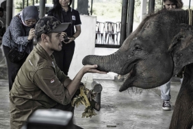 ELEPHANT CONSERVATION IN ACEH