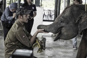 KONSERVASI GAJAH DI ACEH