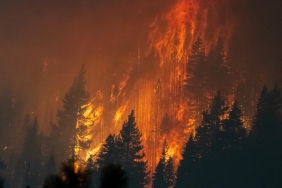 Kara Capaldo, iStockphoto, Getty Images