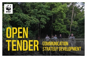 Open Tender Communication STrategy