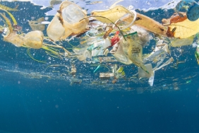 Pengurangan Sampah Plastik | Global Environmental Conservation ...