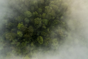 Neil Ever Osborne / WWF-US