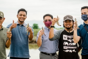 BANGKITKAN KEJAYAAN UDANG WINDU, SEJUMLAH PEMBUDIDAYA DI BREBES MENJADI PERCONTOHAN BUDIDAYA UDANG YANG BAIK