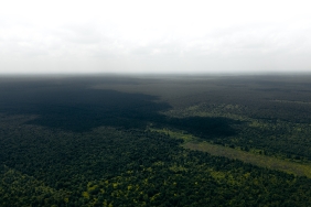 © WWF-Indonesia / Julian Hahne