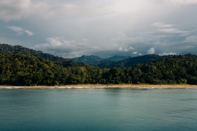 © WWF-Indonesia / Julian Hahne