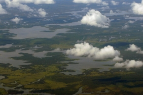 WWF-Indonesia / Syahirsyah