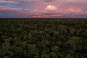 © Jürgen Freund / WWF