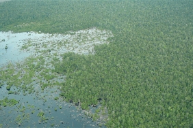 WWF-Indonesia / M Rosidi