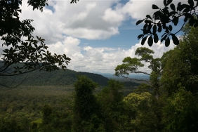 WWF-Indonesia / Jimmy Syahirsyah