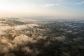 © Neil Ever Osborne / WWF-US