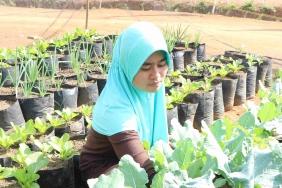 SUSTAINABLE AGRICULTURE FOR LIFE