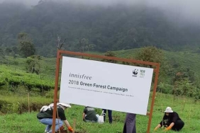 INNISFREE 6000 TREES