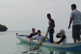 PENANGANAN MAMALIA LAUT