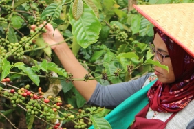 WOMEN NURSES OF NATURE